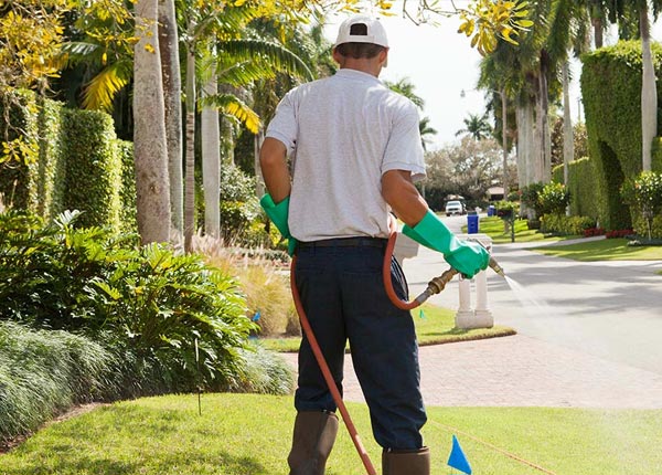 About Fulda IN Pest Control
